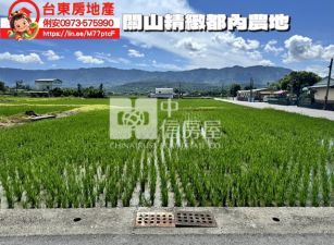 台東房地產 / 關山精緻都內農地