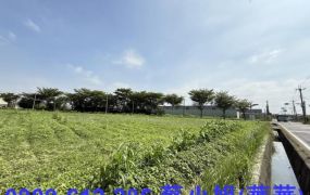 湖內近太爺工業地/丁建