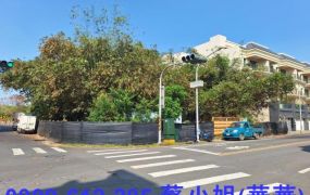 仁武方正三面路建地出售