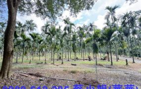 屏科大臨路優質大面積農地~近國