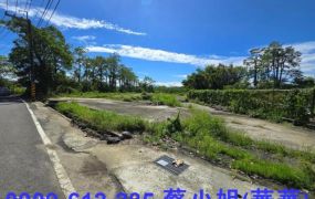 內門稀有大坪數臨8米路丁種工業地