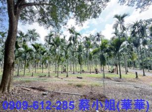 屏科大臨路優質大面積農地~近國