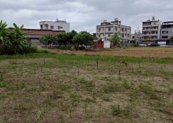 土地珠寶專才~仁武土地綠園山莊下方｜小坪數農地釋出中！