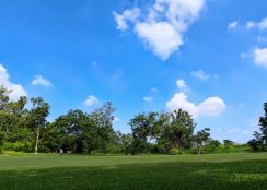 土地珠寶專才~仁武建地擁澄清湖.果嶺公園當後花園！