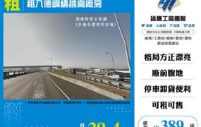 租八德鋼構挑高廠房173