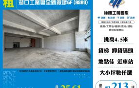 湖口工業區全新廠辦6F(A8A9)