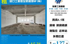 湖口工業區全新廠辦6F(A6)