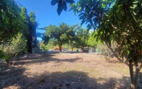 新竹縣｜關西新城｜台三線旁｜交通用地+農地｜510.62坪｜1428萬