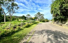 竹東柯子湖臨路平坦農地