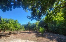 關西台三線旁多用途平坦地