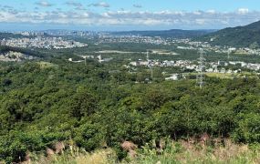 🏕️ 橫山星月傳奇露營地（合法申請中／夜景第一排景觀地)