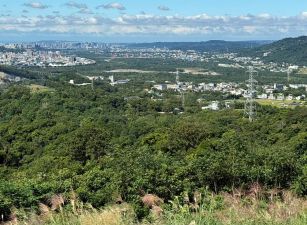 🏕️ 橫山星月傳奇露營地（合法申請中／夜景第一排景觀地)