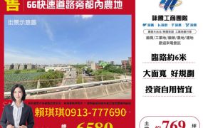 琪琪🐝推~66快速道路旁都計內行情農地