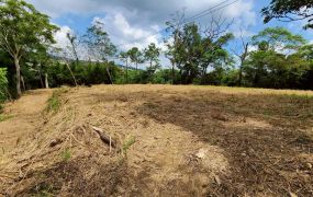 🤶 近台三🤶線福氣滿滿滿~景觀休閒大平台美地