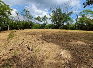 🤶 近台三🤶線福氣滿滿滿~景觀休閒大平台美地