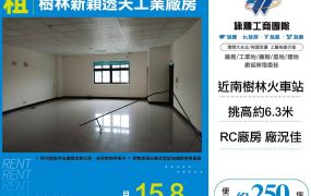 樹林新穎透天工業廠房