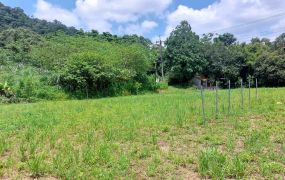 ​新竹內灣風景區@超正旅遊景點商圈@稀有大面積農地釋出