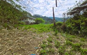 🌳北埔全平坦低總價開心小農地🌳