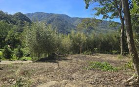 尖石桃花源景觀休閒地   (原保地)