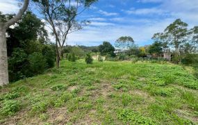 竹東柯子湖臨路平坦休閒農地
