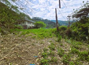 🌳北埔全平坦低總價開心小農地🌳