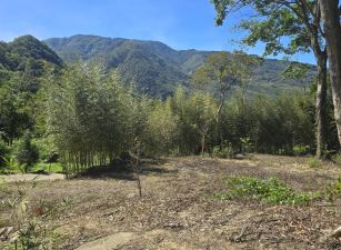 尖石桃花源景觀休閒地   (原保地)