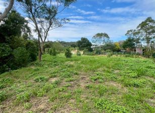竹東柯子湖臨路平坦休閒農地