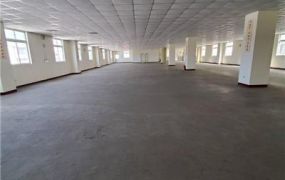 平鎮66氣派RC廠房