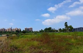 土地珠寶專才~【鳳山建地｜低總價稀有釋出】面寬17米｜方正基地｜鳳山93期重劃區旁