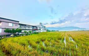 永慶許書豪★開價就是成交價公告現值農地