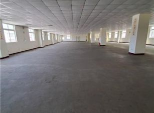 平鎮66氣派RC廠房