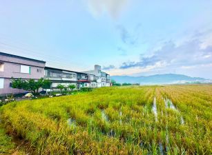 永慶許書豪★開價就是成交價公告現值農地