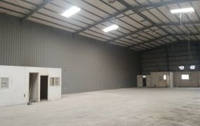 平鎮66挑高鋼構廠房