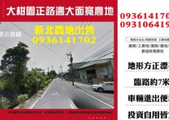 樹林農地出售-大柑園正路邊大面寬農地
