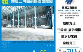 新屋三角窗挑高店面廠房156