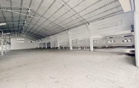 五股台64線/挑高//倉庫廠房(可分租) •    新北市廠房買賣/工業地/建地/徵收農地/廠房出租