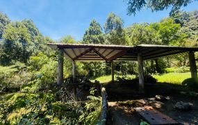 梢楠生態養生農莊