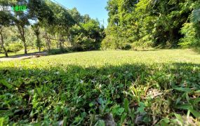 新竹縣關西｜朵雲山莊｜休閒地788.8坪售價880萬