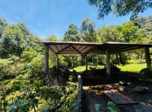 梢楠生態養生農莊