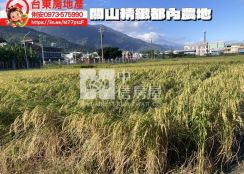 台東房地產 / 關山精緻都內農地