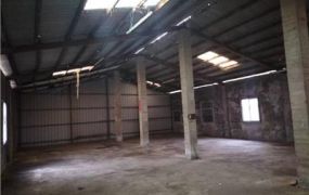 新豐低總價丁建廠地