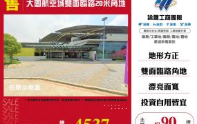 大園航空城雙面臨路20米角地 ET03113