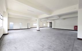 龜山工業區甲工廠房3樓分租