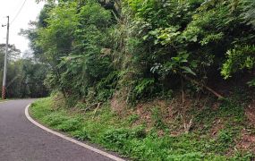 芎林王爺坑投資農地