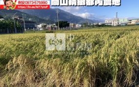 台東房地產 / 關山精緻都內農地