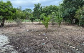 關西台三線全平地