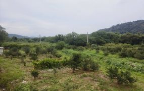 關西大同平坦農地