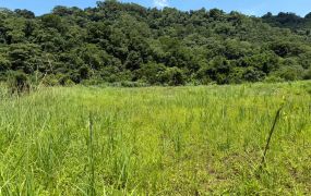 關西臨溪平坦農地