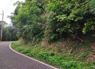 芎林王爺坑投資農地