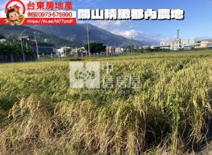 台東房地產 / 關山精緻都內農地